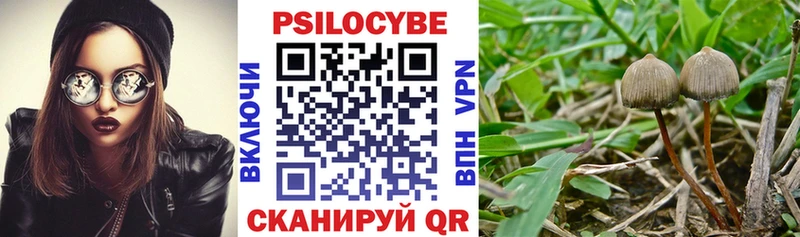 Галлюциногенные грибы мухоморы  МЕГА зеркало  Горбатов  закладка 